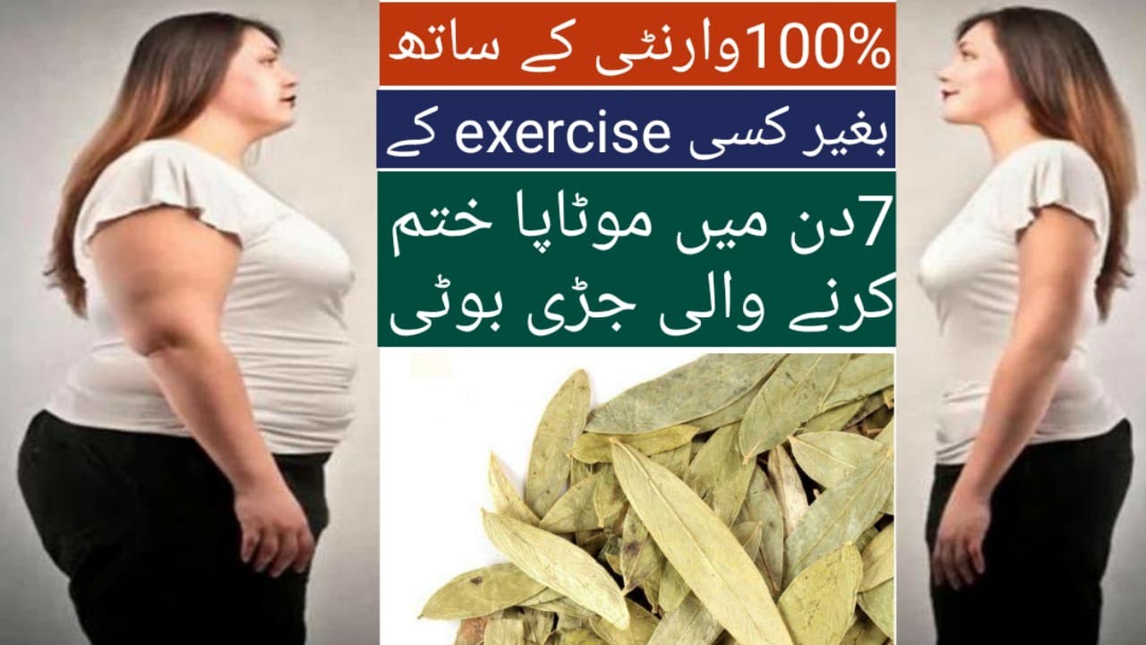 100 Warranty Ka Sath With Out Any Exercise 7Days Ma Weight Loss Krne 100-warranty-ka-sath-with-out-any-exercise-7days-ma-weight-loss-krne
