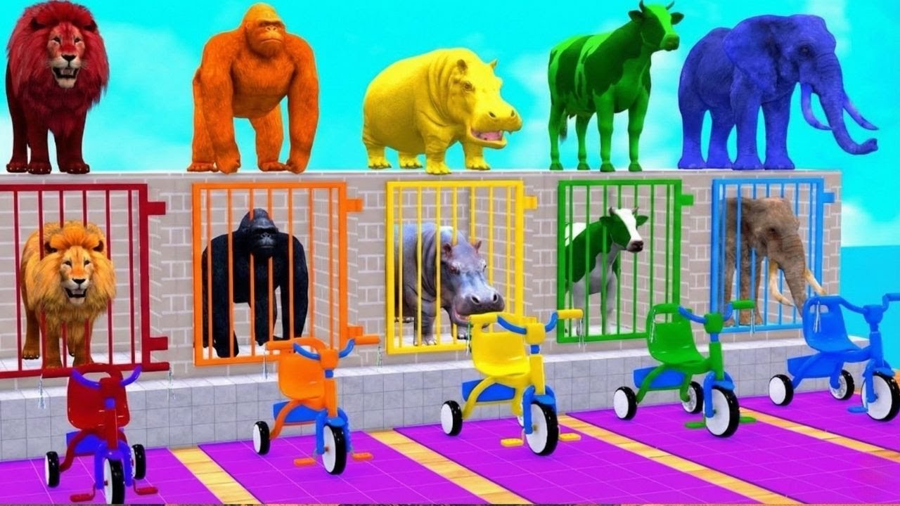 Long Slide Game with Cow Elephant Gorilla Hippopotamus Tiger 3d Animal Game Funny 3d Animals