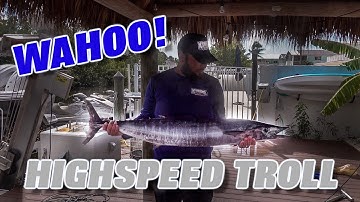 HIGHSPEED TROLLING for WAHOO in Key Largo (Catch & Cook)