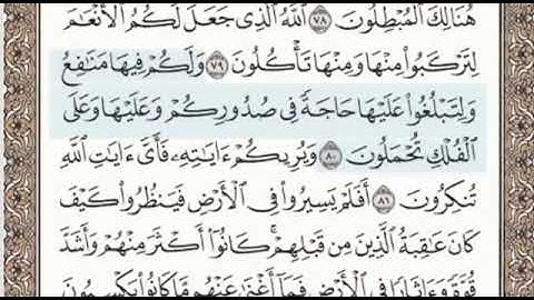 سورة غافر الصفحة 476 الشيخ محمد صديق المنشاوي