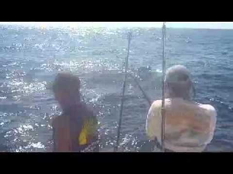 Marlin Nearly Sinks Boat!