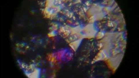 Polarized light microscopy 1