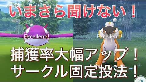 تحميل サークル固定