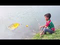 Traditional Boy Hunting Big Fish By Hook In Pound | Best Hook Fishing Video