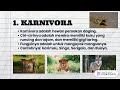 PRAKTEK PROOTON
