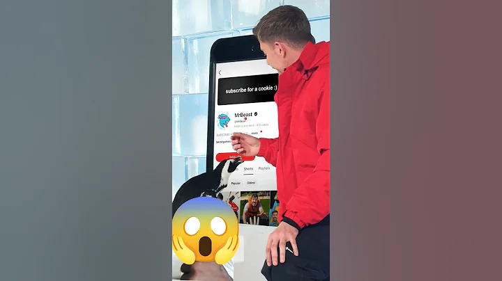Can I Teach a Penguin To Subscribe? #mrbeast #shorts