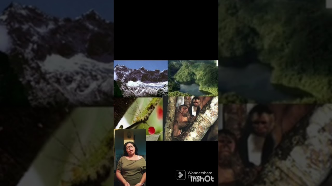 PARQUE NACIONAL SANGAY - SANGAY NATIONAL PARK