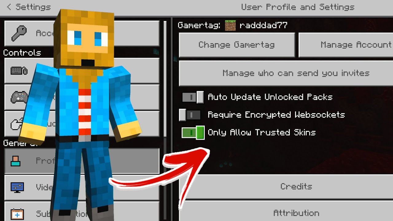 minecraft bedrock edition - Can players from other platforms see my custom  skin? - Arqade