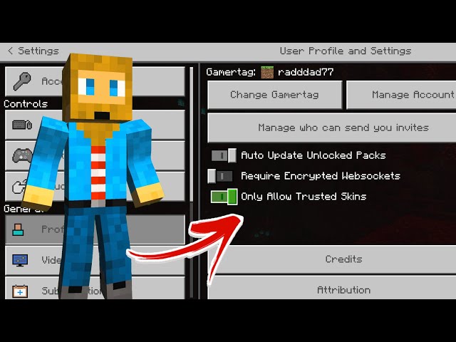 How to load your own skins and reset your skins<!-- -->