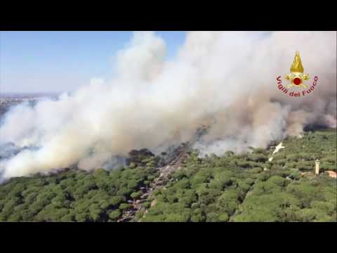 Incendio pineta castel