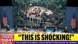 🚨 BREAKING: Something Beheaded Bigfoot in the Pacific Northwest…What They Found Shouldn’t Exist!