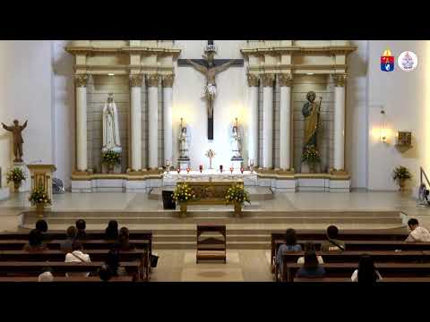 July 3, 2026 | Feast of Saint Thomas, Apostl