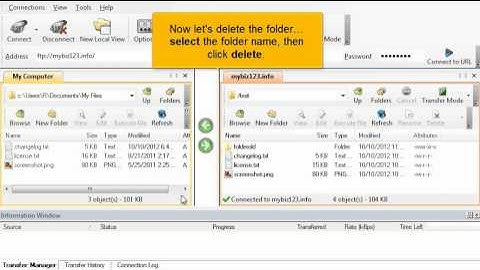 Managing files in WS_FTP