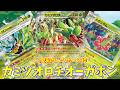 【ポケカ】とーしんのPTCGL対戦記(H-J)No.038【カミツオロチex/Hydrapple ex】