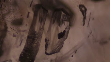 Gübelin: Gem Lab - Exciting effect in a sapphire from Sri Lanka