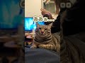 寝落ちパイセン 寝落ちパイセン