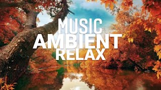 🎵 MÚSICA RELAJANTE para DESCANSAR la MENTE y DesCONECTAR 🧘‍♂️🌿] Tranquilizar y ESTIRAR🍃[1 hora]🍁