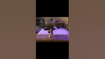 My bobble head collection