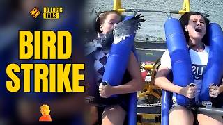 Forklift Logic | Total Idiots at Work #1