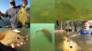 Shellcracker Lake Murray 2026