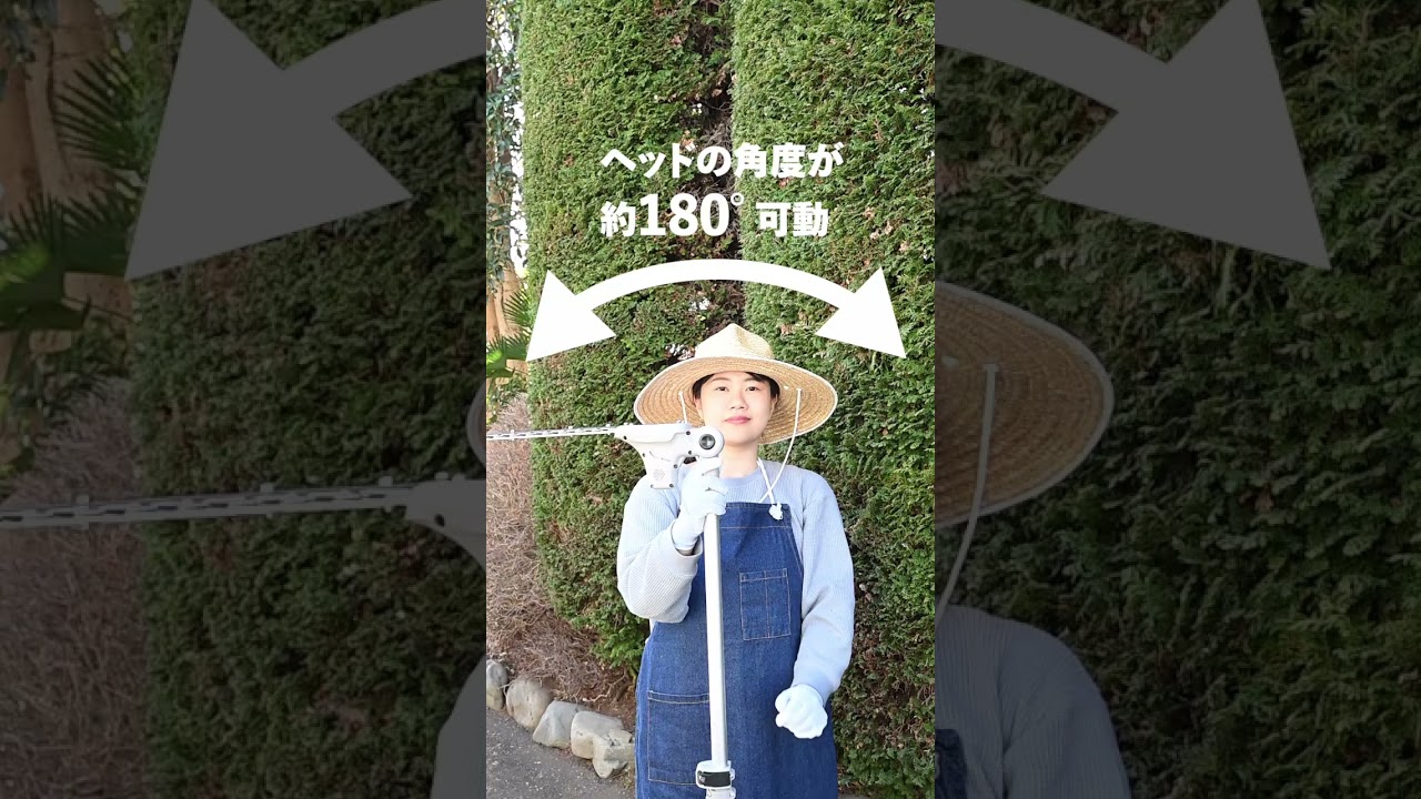 18V 充電式 高枝ヘッジトリマー 2WAY YPH-180 山善 | 山善ビズコム