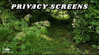 Privacy Screening: Where to Start