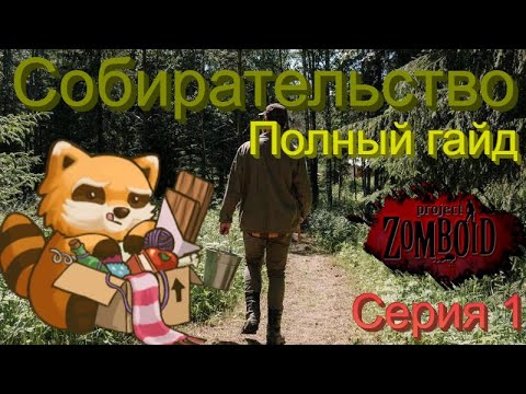 Гайд по собирательству в Project Zomboid