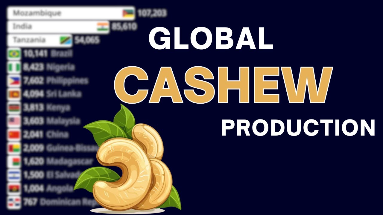 Largest Cashew Nut Producing Country in The World