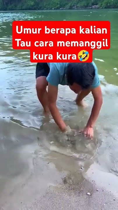 Suara untuk memanggil kura kura..
