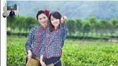 茶山情歌 杨钰莹 Youtube 茶山情歌 杨钰莹 Youtube