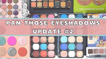 PAN THOSE EYESHADOWS 2020 I UPDATE #2 I Project Pan 2020 I A true challenge!