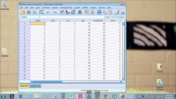 Easy SPSS value labels and variable labels tutorial -SGP