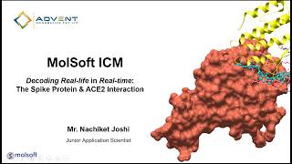 OUR MAY WEBINAR - Decoding Real life in Real time The Spike Protein and ACE2 Interaction OUR MAY WEBINAR - Decoding Real life in Real time The Spike Protein and ACE2 Interaction