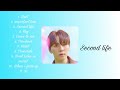 Seventeens vocal team playlist from 20 to dust
