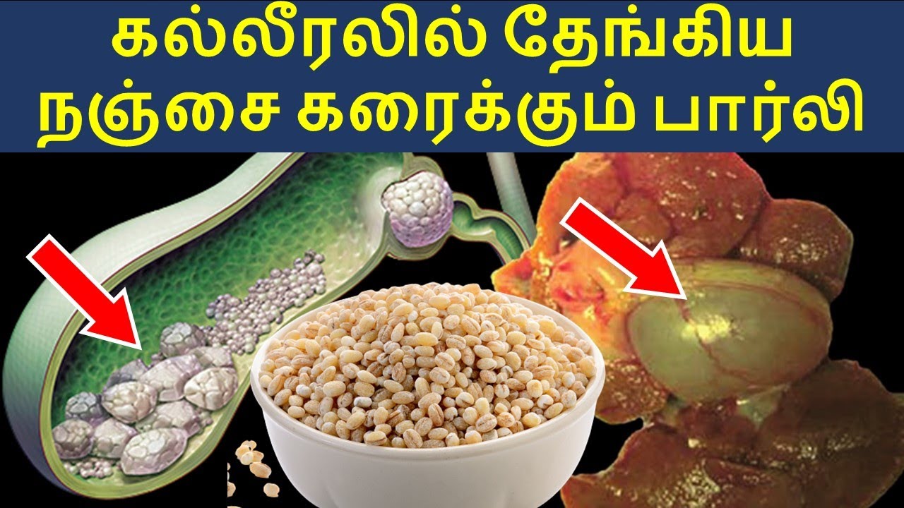 பித்தப்பை பிரெச்சனைகளை தீர்க்கும் கஞ்சி Benefits of Barley in Tamil