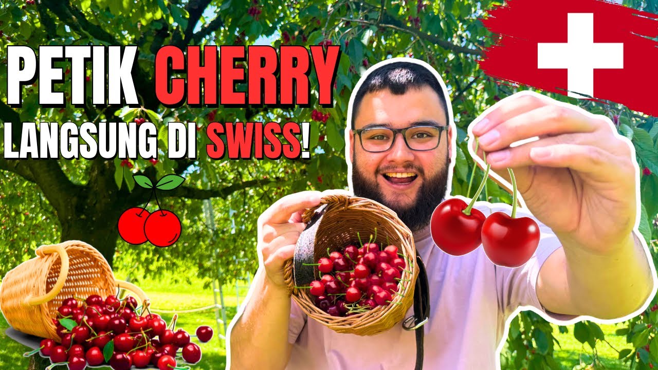 CHERRY di SWISS Bisa DIPETIK Sendiri?! 🍒 Pengalaman Unik Musim Panas!