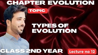 Types of Evolution