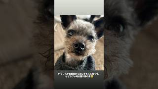 もんち、じんたと一緒に新曲を検討する（Today's Instagram Stories 2026年1月8日）