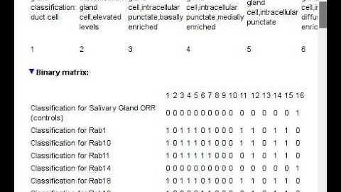 CATMAID ontology clustering