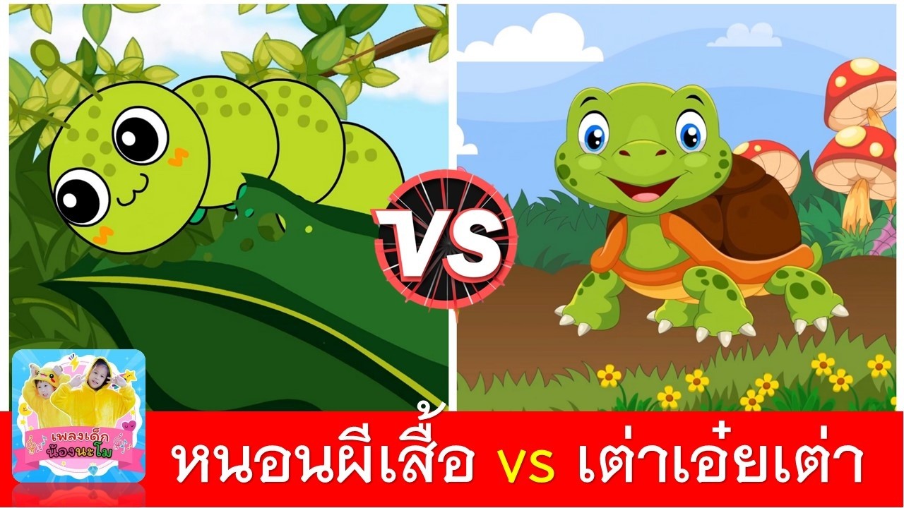หนอนผีเสื้อ vs เต่าเอ๋ยเต่า