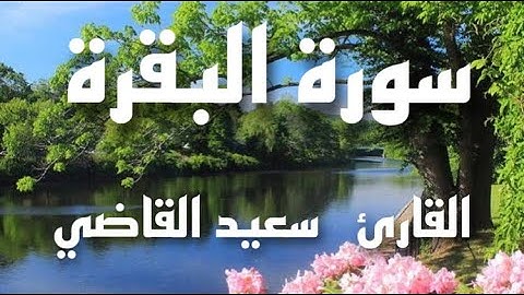 سورة البقرة  القاريء سعيد القاضي