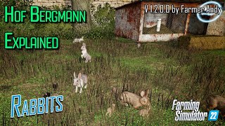 ❓ FS22 Hof Bergmann Explained ❓ Rabbits