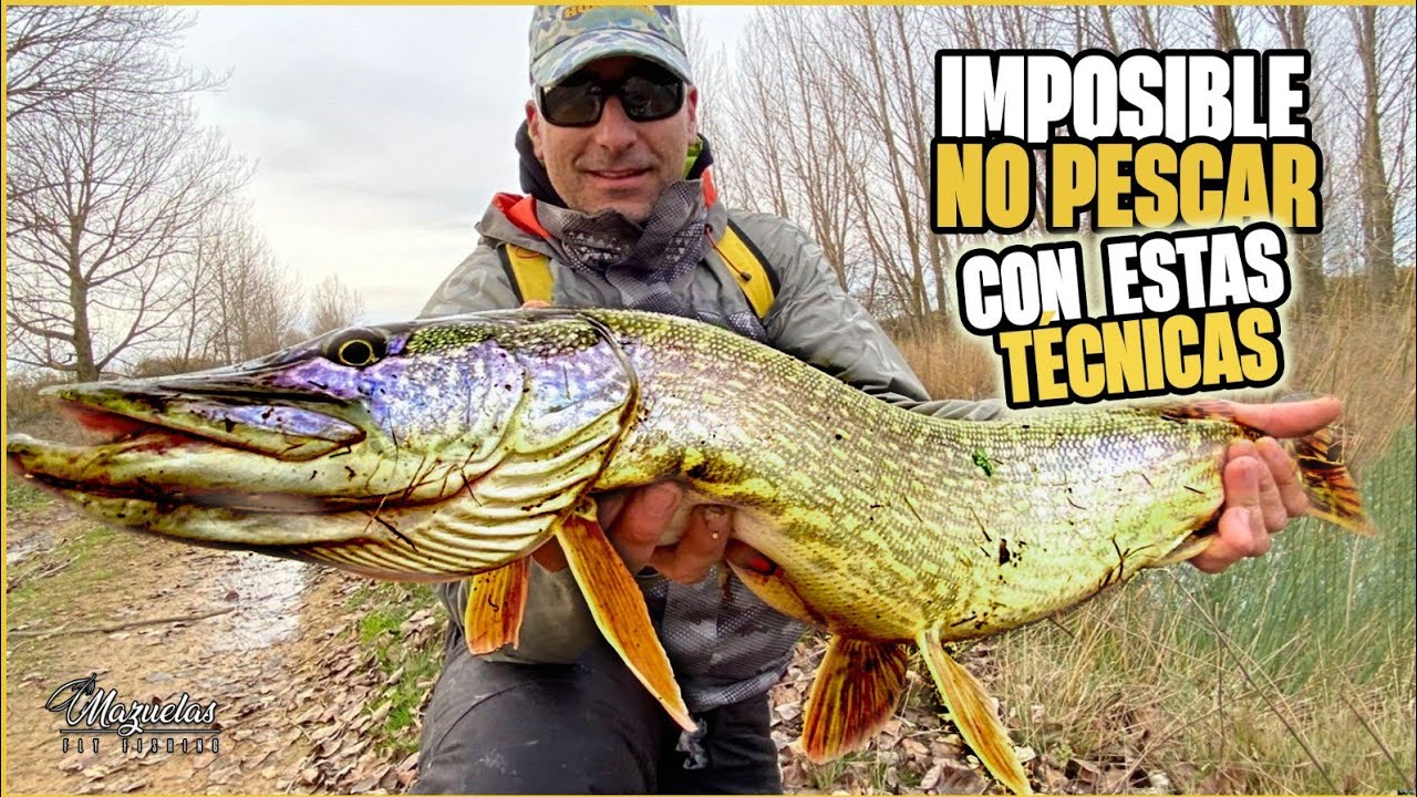 Encontramos a los GRANDES LUCIOS.Donde se ESCONDEN.Mazuelas fly fishing.