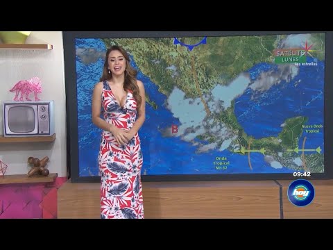 The Iamyanetgarcia Leak: A Deep Dive