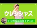 【アゲリシャス】公認のキウイブラザーズになりました。