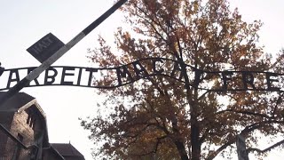 4 In 10 Millennials Dont Know 6 Million Jews Were Killed In Holocaust, Survey Shows