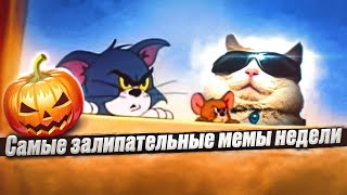 Самые залипательные мемы недели!