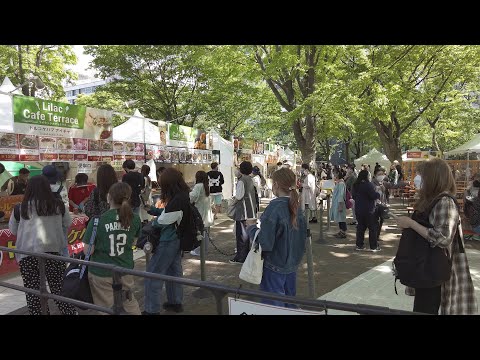 【4K】2022 日本 北海道 札幌 中央区 大通公園 さっぽろライラックまつり 散策【Binaural Audio】