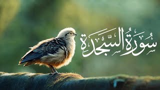 Surah As-sajdah voice by Abdulrahman Mosad | 32 سورة السجدة