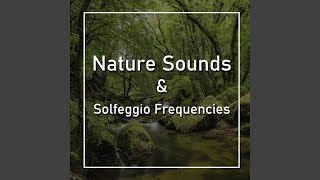 Forest Sounds and Solfeggio 417 Hz
